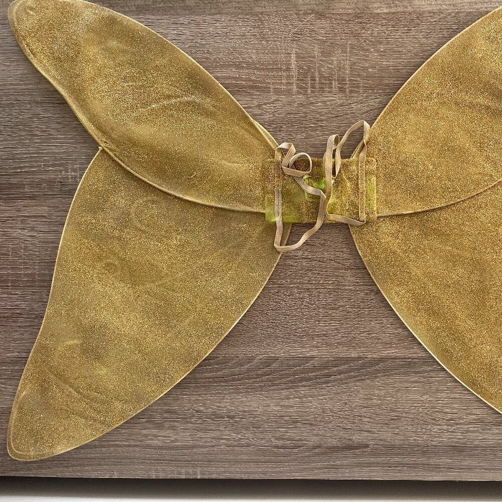 Gold Fairy Wings Halloween costume for kids